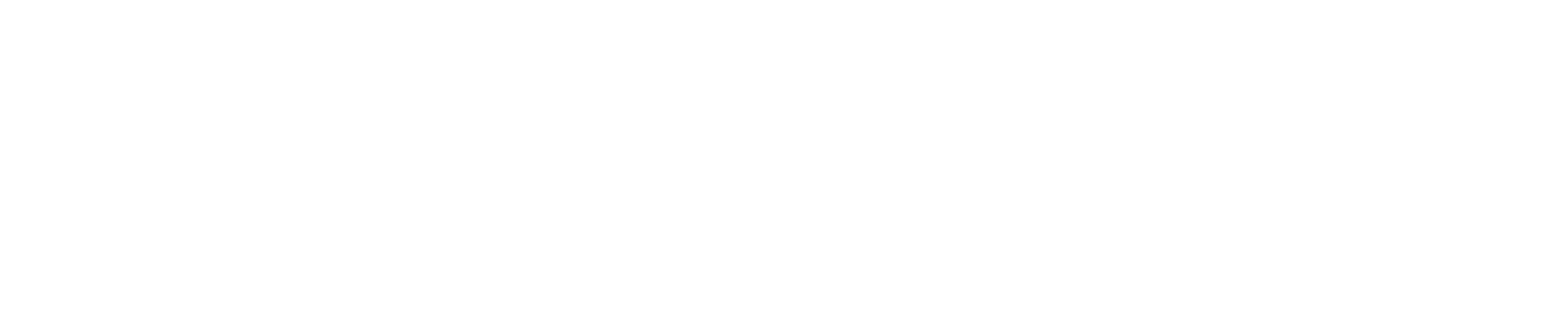 Insightful logo